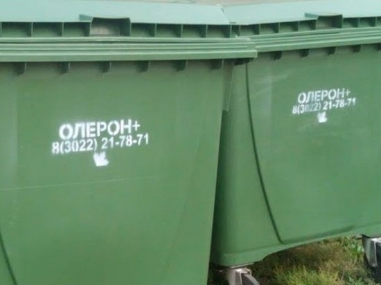Контейнеров для мусора не хватает в Чите