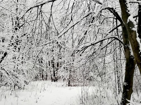 В Смоленскую область пришла зима