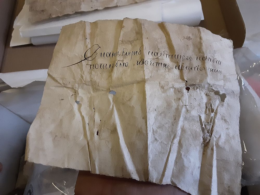 В Меньшиковском дворце нашли тысячи уникальных старинных документов