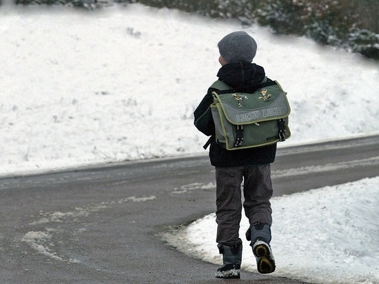 В Хакасии 7-летний мальчик прошёл один по трассе 8 км прежде, чем его спасли