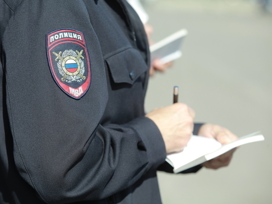 В Воронежской области за 2019 год полицейские раскрыли 12,5 тыс. преступлений