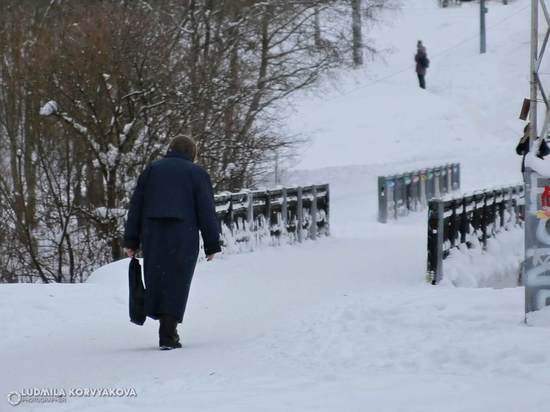 Карельские депутаты поинтересовались, что привело к авралу в Центрах соцзащиты
