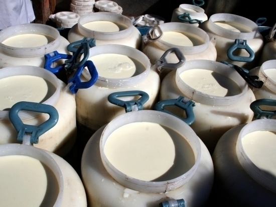 Эксперт Роскачества раскрыла правду о магазинном молоке