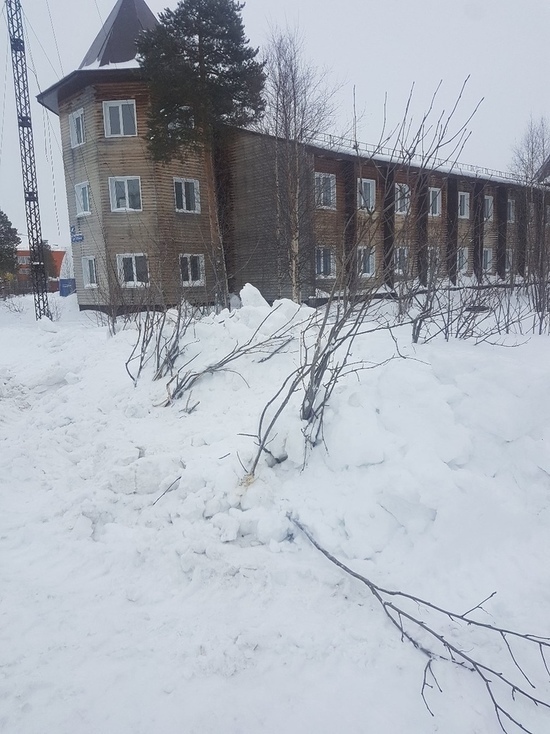 В Муравленко снегоуборочная техника ломает деревья во время работ