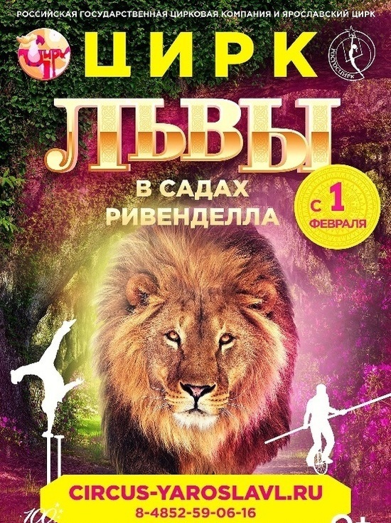 В Ярославль приедут львы и эльфы