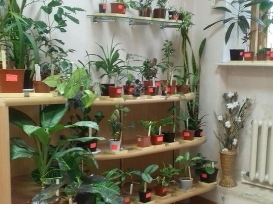 В Йошкар-Оле открывается лекторий «Ботанический час»