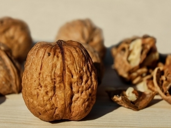 Ученые: четыре грецких ореха в день полезны для сердца и кишечника