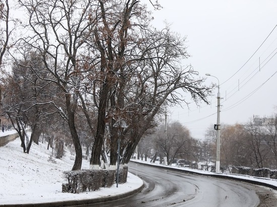 После снега и мороза в Волгоград снова придет потепление до +1°С