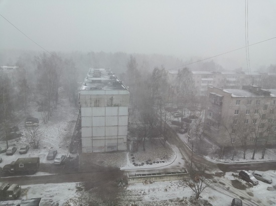 Жителей Твери и Тверской области предупредили о сильном ветре