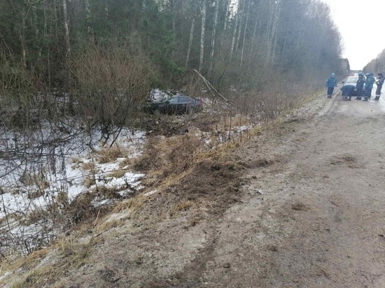 В Тверской области водитель и пассажир получили травмы головы в ДТП