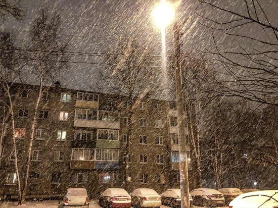 Грядущая неделя в Тверской области будет снежной и теплой