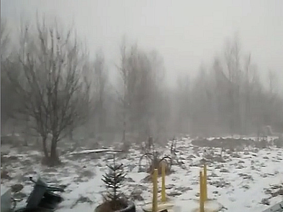 В Московский регион пришла метель, ветер и зимний природный феномен