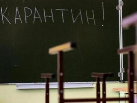 Классы в школах и группы детсадов закрыты в Чите из-за гриппа и ОРВИ