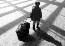 В минувшее воскресенье сотрудники аэропорта Шереметьево обнаружили в терминале двух мальчиков 2011 и 2014 годов рождения без сопровождения взрослых