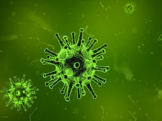 Опасный коронавирус: тульский Роспотребнадзор рассказывает, как защититься