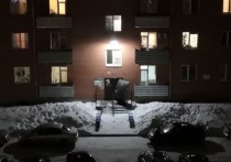 Козырек сорвало над подъездом, потому что на него скатилась лавина снега с шестого этажа дома на ул