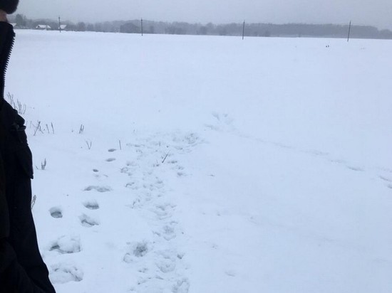 Под Оренбургом двух школьников насмерть засыпало снегом