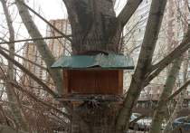 Вандалы, которые специализируются на… порче кормушек для птиц, объявились в микрорайоне Кузнечики городского округа Подольск