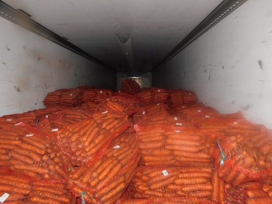 20 тонн белорусской моркови запретили ввозить в Псковскую область