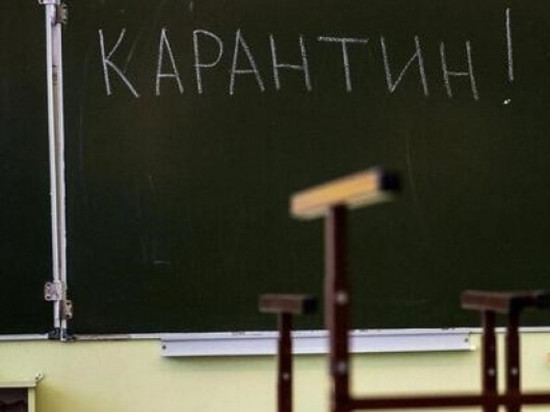 В Курской области из-за ОРВИ закрыли 5 классов