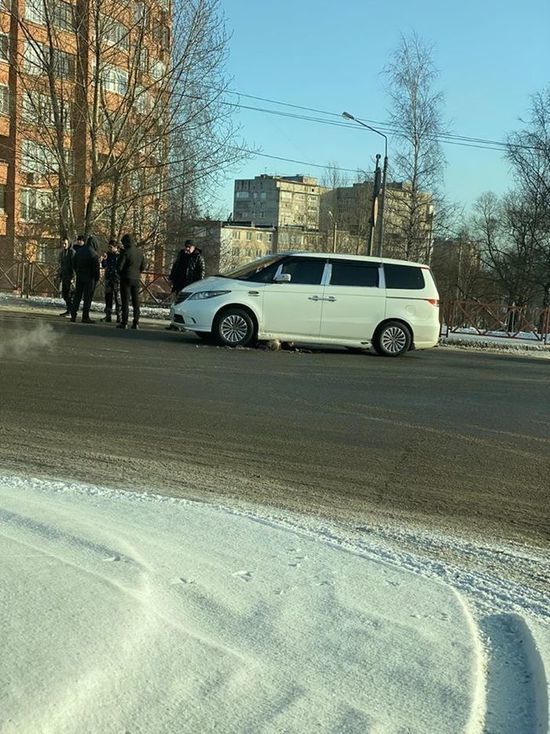 В Ярославле минивэн переехал пешеходу голову