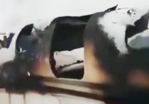 При крушении американского самолета Bombardier E-11A BACN в афганской провинции Газни, которую контролируют боевики, мог погибнуть высокопоставленный офицер США Майкл Д'Андреа, который курировал операцию по устранению главы спецподразделения «Аль-Кудс» Корпуса стражей исламской революции (КСИР) Ирана Касема Сулеймани