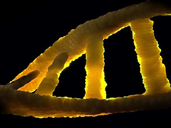 Генетики усомнились в официальной версии происхождения коронавируса