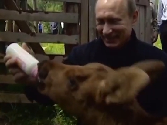 Кремль опубликовал видео вскармливания Путиным лосенка