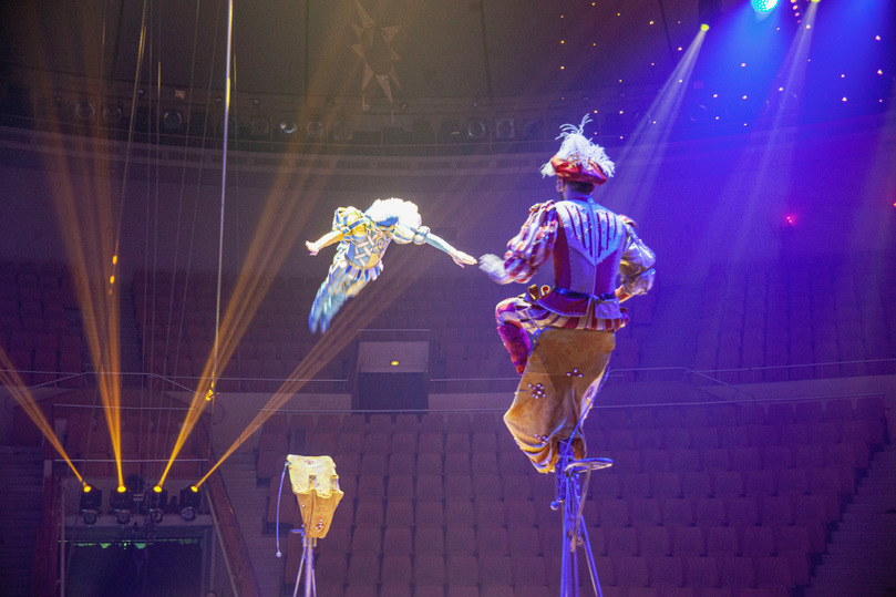 золотой клоун