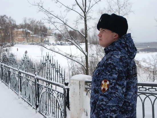 В Кирове задержали 5 "расхитителей садоводств"