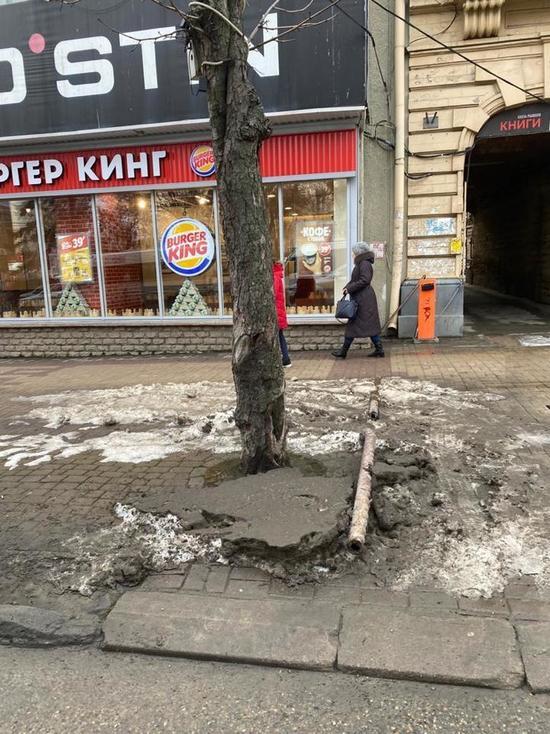 Глава района получил выговор от мэра Ставрополя за грязь