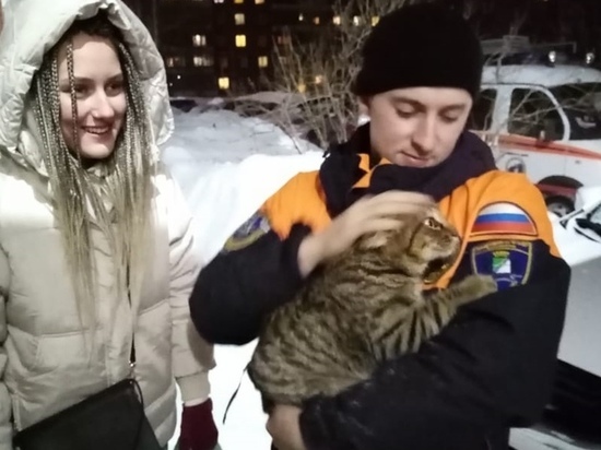 Новосибирские спасатели вытащили кошку, застрявшую в водостоке