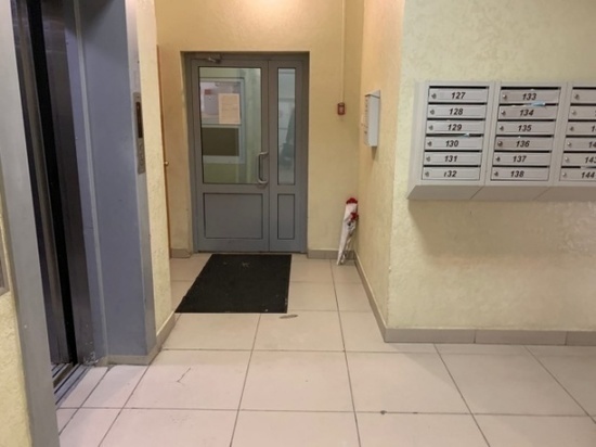 Полиция ждала экспертизу: убийство беременной в Новосибирске