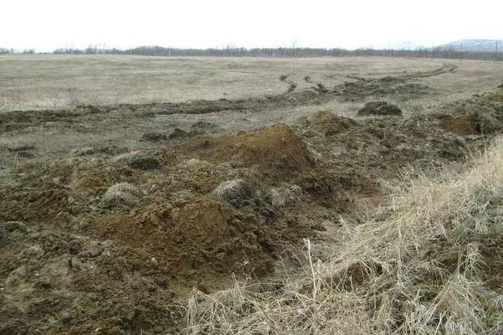 Почвы малоплодородны и сильно заболочены короткие. Неплодородная почва. Истощение плодородного слоя почвы. Снижение плодородия почв. Истощение почвы.