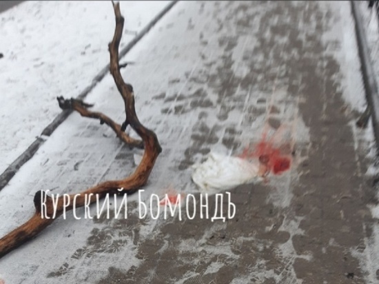 В центре Курска на женщину упала ветка