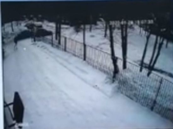Побег новокузнецкого осужденного из здания суда попал на видео