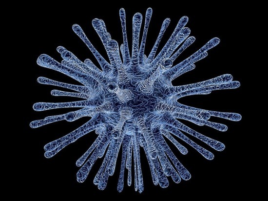 «Американское биологическое оружие»: эксперт предположил необычное происхождение коронавируса