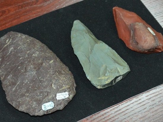 Орудия европейских неандертальцев нашли на Алтае