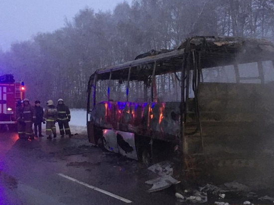 Пассажирский автобус «Тамбов – Воронеж» сгорел на трассе
