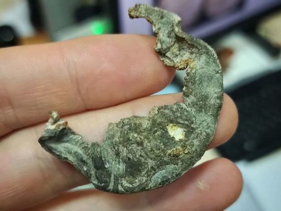 Свинцовую торговую пломбу с «розой Тюдоров» нашли псковские археологи