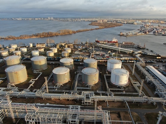 «Петербургский нефтяной терминал» (ПНТ) подвел итоги работы в 2019 году
