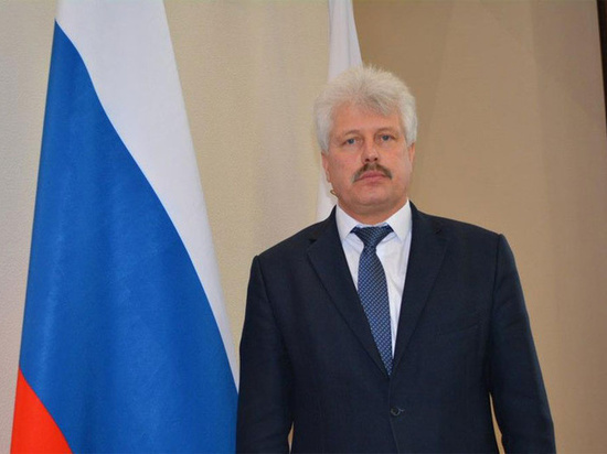 Главой Нижнедевицкого района стал Владимир Просветов