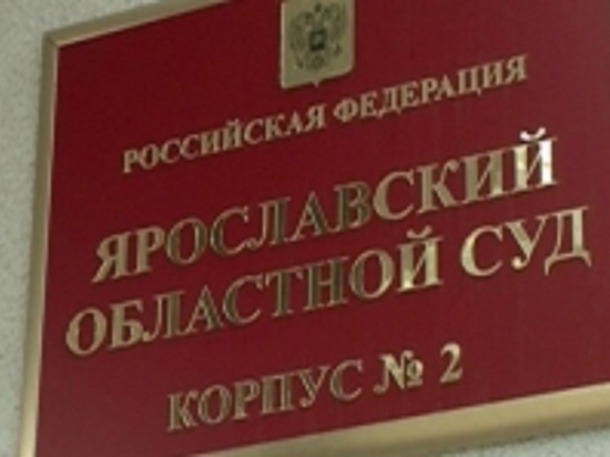 Владелица батута из Рыбинска просила смягчить наказание