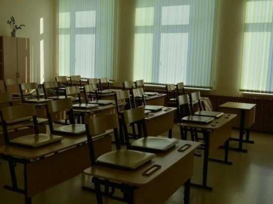 Из-за ОРВИ некоторые школы Тамбова перешли на дистанционное обучение