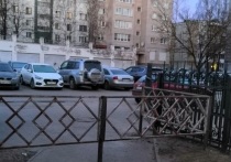 Неожиданно для жителей микрорайона Завеличье во Пскове посреди пешеходной дорожки появился забор