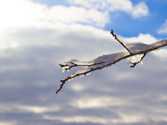 Мокрый снег и "минус" прогнозируют 6 февраля в Пскове и области