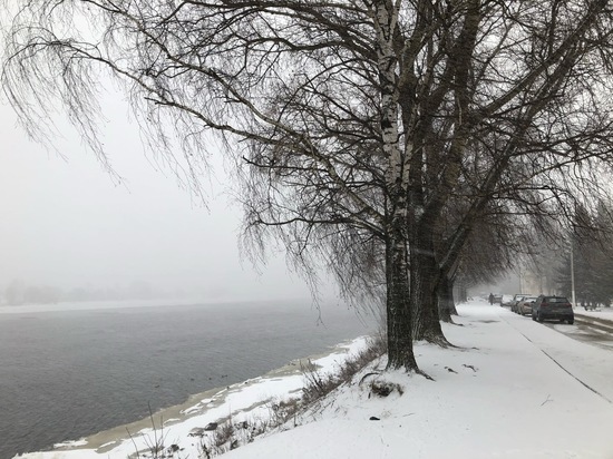 Сильный ветер и снегопад осложнят жизнь жителей Тверской области