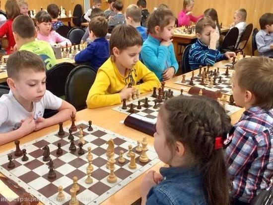 В Рязани стартовал городской чемпионат по шахматам