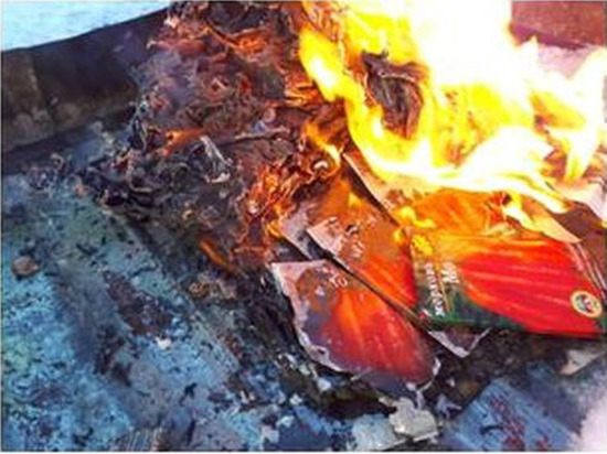 В Чувашии сожгли 250 пакетов с семенами зараженной моркови