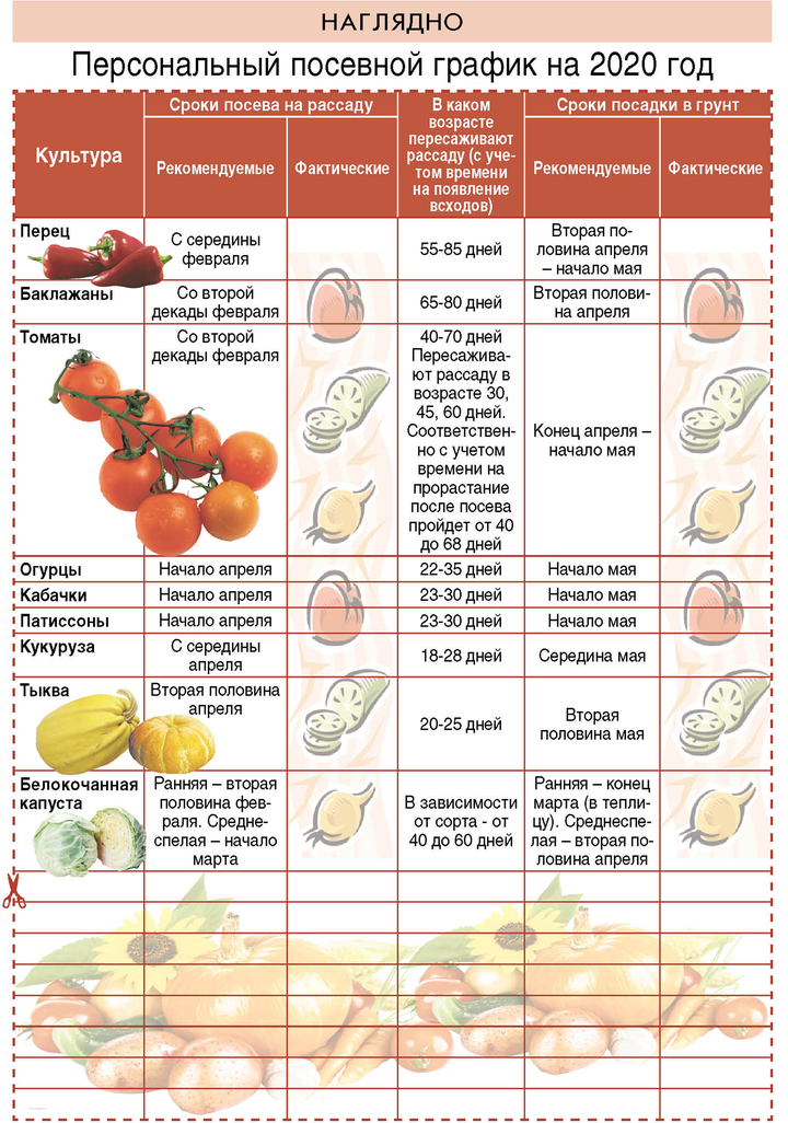 Когда высаживать семена томатов. Сроки посева семян овощных культур на рассаду. Таблица высадки овощей на рассаду. Таблица посева семян овощных культур в открытый грунт. Сроки посадки овощных культур в открытый грунт.